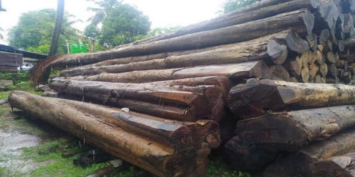 മുട്ടിൽ മരംമുറി കേസ് അട്ടിമറിക്കാൻ അണിയറ നീക്കങ്ങളെന്ന് പരാതി ; വയനാട് പ്രകൃതി സംരക്ഷണ സമിതി ഹൈക്കോടതിയിലേക്ക് മുട്ടിൽ മരംമുറി കേസ് അട്ടിമറിക്കാൻ അണിയറ നീക്കങ്ങളെന്ന് പരാതി ; വയനാട് പ്രകൃതി സംരക്ഷണ സമിതി ഹൈക്കോടതിയിലേക്ക്