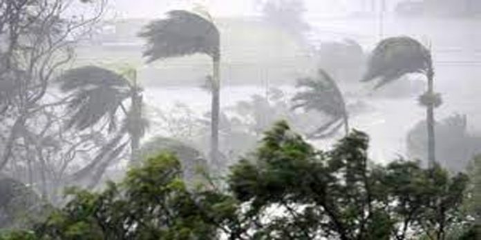 ഇന്നും നാളെയും ശക്തമായ കാറ്റിന് സാധ്യത ; മുന്നറിയിപ്പുമായി കേന്ദ്ര കാലാവസ്ഥ വകുപ്പ് ഇന്നും നാളെയും ശക്തമായ കാറ്റിന് സാധ്യത ; മുന്നറിയിപ്പുമായി കേന്ദ്ര കാലാവസ്ഥ വകുപ്പ്