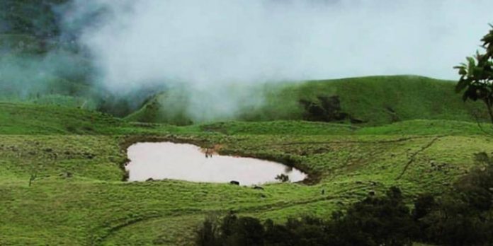 വയനാട് ചെമ്പ്ര പീക്കിൽ സന്ദർശകർക്ക് നിയന്ത്രണം വയനാട് ചെമ്പ്ര പീക്കിൽ സന്ദർശകർക്ക് നിയന്ത്രണം
