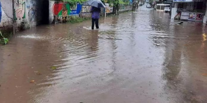 ഒറ്റ മഴയ്ക്ക് ആലുവ വീണ്ടും വെള്ളക്കെട്ടിൽ ഒറ്റ മഴയ്ക്ക് ആലുവ വീണ്ടും വെള്ളക്കെട്ടിൽ