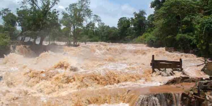 കനത്ത മഴ : സംസ്ഥാനങ്ങള്ക്ക് പ്രളയ മുന്നറിയിപ്പ് നല്കി കേന്ദ്ര ജല കമ്മീഷന് കനത്ത മഴ : സംസ്ഥാനങ്ങള്ക്ക് പ്രളയ മുന്നറിയിപ്പ് നല്കി കേന്ദ്ര ജല കമ്മീഷന്