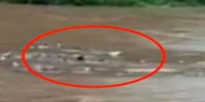 മല്ലപ്പള്ളിയില് ഒഴുക്കില്പ്പെട്ട രണ്ടു യുവാക്കളെ നാട്ടുകാര് രക്ഷപ്പെടുത്തി മല്ലപ്പള്ളിയില് ഒഴുക്കില്പ്പെട്ട രണ്ടു യുവാക്കളെ നാട്ടുകാര് രക്ഷപ്പെടുത്തി