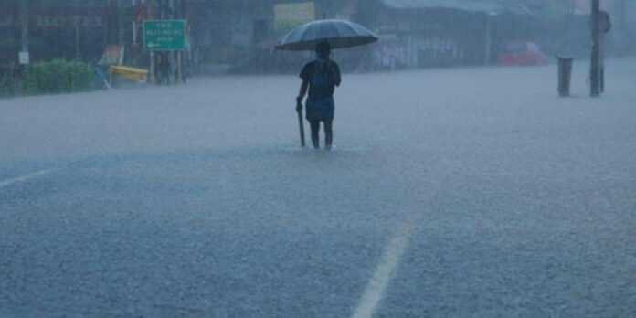 വയനാട് ജില്ലയില് കനത്ത മഴയ്ക്ക് ശമനം വയനാട് ജില്ലയില് കനത്ത മഴയ്ക്ക് ശമനം