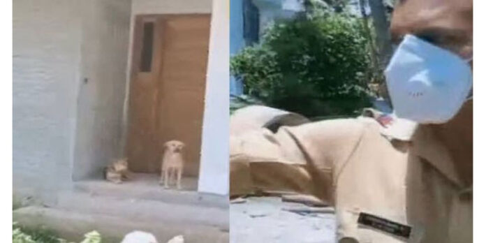 പോലീസുകാരെ തെരുവ് നായ്ക്കളോട് ഉപമിച്ച് സമൂഹമാധ്യമങ്ങളില് വീഡിയോ : മൂന്നു പോലീസുകാര്ക്കെതിരേ അച്ചടക്ക നടപടി പോലീസുകാരെ തെരുവ് നായ്ക്കളോട് ഉപമിച്ച് സമൂഹമാധ്യമങ്ങളില് വീഡിയോ : മൂന്നു പോലീസുകാര്ക്കെതിരേ അച്ചടക്ക നടപടി