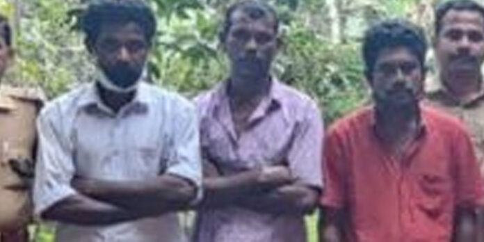 ഉടുമ്പിനെ കൊന്ന് പാകം ചെയ്ത് ഭക്ഷിച്ച നായാട്ട് സംഘത്തിലെ മൂന്ന് പേര് വനം വകുപ്പ് അധികൃതരുടെ പിടിയില് ഉടുമ്പിനെ കൊന്ന് പാകം ചെയ്ത് ഭക്ഷിച്ച നായാട്ട് സംഘത്തിലെ മൂന്ന് പേര് വനം വകുപ്പ് അധികൃതരുടെ പിടിയില്