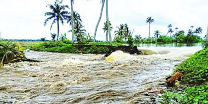 തണ്ടപ്ര പാടശേഖരത്തില് മട വീണു ; 400 ഏക്കര് കൃഷി വെള്ളം കൊണ്ടുപോയി തണ്ടപ്ര പാടശേഖരത്തില് മട വീണു ; 400 ഏക്കര് കൃഷി വെള്ളം കൊണ്ടുപോയി