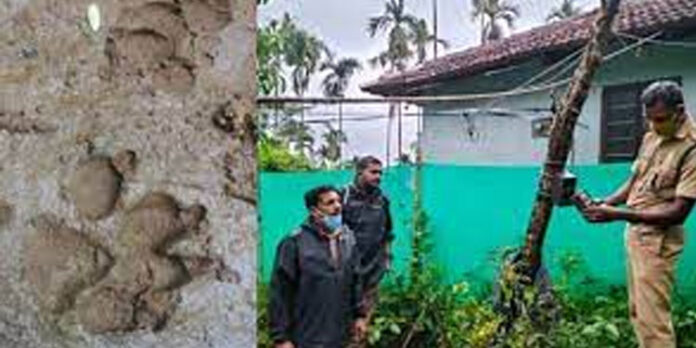 വിദ്യാര്ഥി പഴയ വീഡിയോയുടെ സ്ക്രീന് ഷോട്ട് പ്രചരിപ്പിച്ചു ; ഒരു പ്രദേശം മുഴുവനും ദിവസങ്ങളോളം ഭീതിയുടെ നിഴലില് വിദ്യാര്ഥി പഴയ വീഡിയോയുടെ സ്ക്രീന് ഷോട്ട് പ്രചരിപ്പിച്ചു ; ഒരു പ്രദേശം മുഴുവനും ദിവസങ്ങളോളം ഭീതിയുടെ നിഴലില്