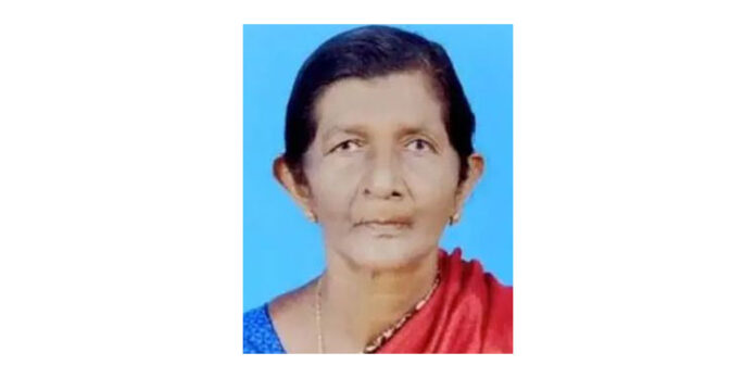 നെയ്യാറ്റിന്കരയില് വൃദ്ധയെ വീടിനുള്ളില് മരിച്ച നിലയില് കണ്ടെത്തി ; ചെറുമകന് പോലിസ് കസ്റ്റഡിയില് നെയ്യാറ്റിന്കരയില് വൃദ്ധയെ വീടിനുള്ളില് മരിച്ച നിലയില് കണ്ടെത്തി ; ചെറുമകന് പോലിസ് കസ്റ്റഡിയില്