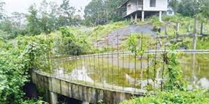 പി.വി അന്വര് കെട്ടിയ തടയണകള് പൊളിച്ചില്ല ; ഗ്രാമപഞ്ചായത്ത് സെക്രട്ടറിക്കും റിസോര്ട്ട് മാനേജര്ക്കും ഹൈക്കോടതി നോട്ടീസ് പി.വി അന്വര് കെട്ടിയ തടയണകള് പൊളിച്ചില്ല ; ഗ്രാമപഞ്ചായത്ത് സെക്രട്ടറിക്കും റിസോര്ട്ട് മാനേജര്ക്കും ഹൈക്കോടതി നോട്ടീസ്