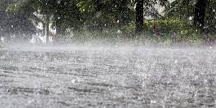 സംസ്ഥാനത്ത് ഇന്നും കനത്ത മഴയ്ക്ക് സാധ്യത ; 11 ജില്ലകളില് യെല്ലോ അലര്ട്ട് സംസ്ഥാനത്ത് ഇന്നും കനത്ത മഴയ്ക്ക് സാധ്യത ; 11 ജില്ലകളില് യെല്ലോ അലര്ട്ട്