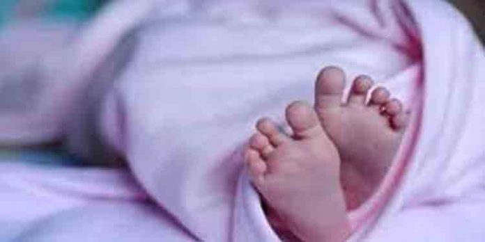 അഞ്ചു ദിവസം പ്രായമായ കുഞ്ഞിനെ അയല് വീട്ടില് ഏല്പിച്ച് പോയ അമ്മ ഒരുമാസം കഴിഞ്ഞിട്ടും തിരിച്ചെത്തിയില്ല അഞ്ചു ദിവസം പ്രായമായ കുഞ്ഞിനെ അയല് വീട്ടില് ഏല്പിച്ച് പോയ അമ്മ ഒരുമാസം കഴിഞ്ഞിട്ടും തിരിച്ചെത്തിയില്ല