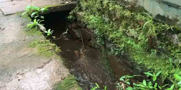 സ്ളാബില്ലാത്ത ഓടയില് വീണ് മധ്യവയസ്ക്കന് മരിച്ചു സംഭവം കോഴിക്കോട് പാലാഴിയില് സ്ളാബില്ലാത്ത ഓടയില് വീണ് മധ്യവയസ്ക്കന് മരിച്ചു സംഭവം കോഴിക്കോട് പാലാഴിയില്