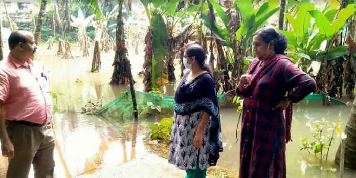 പ്രളയം – ജില്ലയില് വ്യാപക കൃഷിനാശം ; നഷ്ടപരിഹാരത്തിന് ഓണ്ലൈനായി അപേക്ഷിക്കണം പ്രളയം – ജില്ലയില് വ്യാപക കൃഷിനാശം ; നഷ്ടപരിഹാരത്തിന് ഓണ്ലൈനായി അപേക്ഷിക്കണം