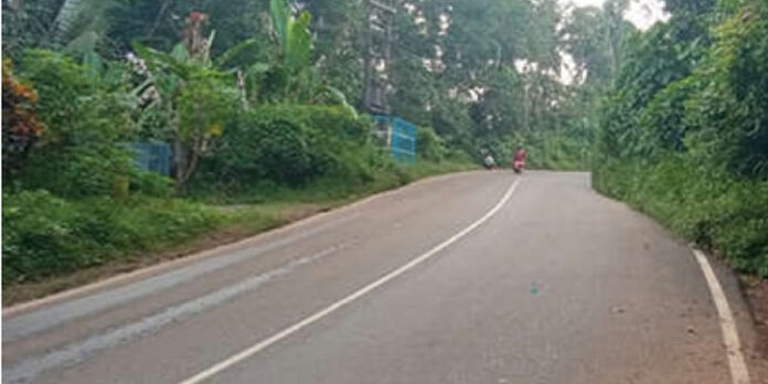 റോഡിലേക്ക് കാടുകയറിയത് അപകടഭീഷണി റോഡിലേക്ക് കാടുകയറിയത് അപകടഭീഷണി