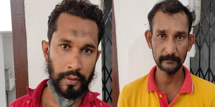 വില കൂടിയ തത്തകളെ മോഷ്ടിച്ച കേസിൽ രണ്ടു പേർ അറസ്റ്റിൽ വില കൂടിയ തത്തകളെ മോഷ്ടിച്ച കേസിൽ രണ്ടു പേർ അറസ്റ്റിൽ