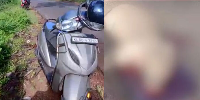 സ്കൂട്ടറില് യാത്ര ചെയ്യുന്നതിനിടയില് കാട്ടു പന്നിയുടെ അക്രമത്തില് പരിക്കേറ്റ മധ്യവയസ്ക്കന് മരണപ്പെട്ടു സ്കൂട്ടറില് യാത്ര ചെയ്യുന്നതിനിടയില് കാട്ടു പന്നിയുടെ അക്രമത്തില് പരിക്കേറ്റ മധ്യവയസ്ക്കന് മരണപ്പെട്ടു