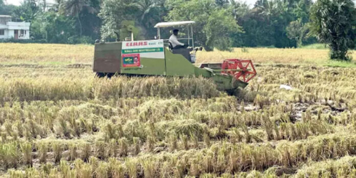 കർഷകർക്ക് ആശ്വാസം ; കൊയ്ത്തിന് യന്ത്രങ്ങളെത്തി കർഷകർക്ക് ആശ്വാസം ; കൊയ്ത്തിന് യന്ത്രങ്ങളെത്തി