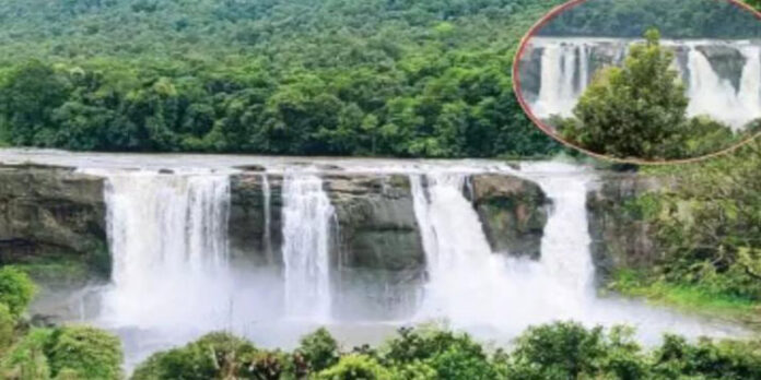 കാണാമറയത്തല്ല – ഇനി അതിരപ്പിള്ളി ; കാഴ്ച മറച്ച മരച്ചില്ലകൾ മുറിച്ചുനീക്കി കാണാമറയത്തല്ല – ഇനി അതിരപ്പിള്ളി ; കാഴ്ച മറച്ച മരച്ചില്ലകൾ മുറിച്ചുനീക്കി