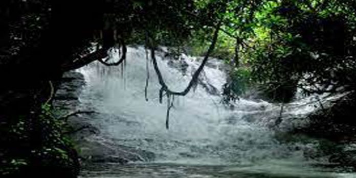 പരിസ്ഥിതിക്ക് കോട്ടമില്ല ; കാണാനേറെയുള്ള കാനായി കാനം പരിസ്ഥിതിക്ക് കോട്ടമില്ല ; കാണാനേറെയുള്ള കാനായി കാനം