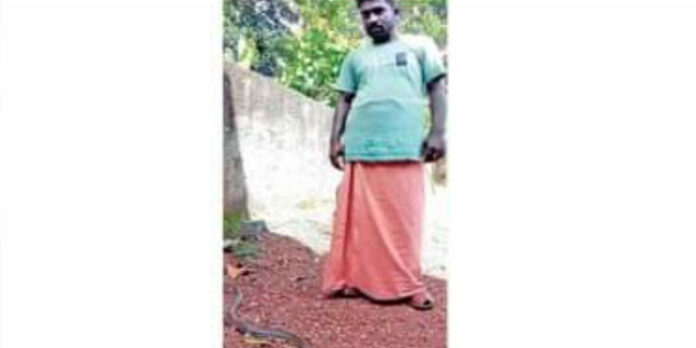 സ്കൂട്ടറില് അണലി കയറിയതറിയാതെ 30 കിലോമീറ്റര് യാത്ര ; യുവാവ് ഭാഗ്യത്തിന് രക്ഷപ്പെട്ടു സ്കൂട്ടറില് അണലി കയറിയതറിയാതെ 30 കിലോമീറ്റര് യാത്ര ; യുവാവ് ഭാഗ്യത്തിന് രക്ഷപ്പെട്ടു
