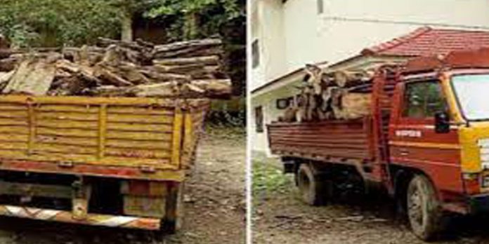 അനുമതിയില്ലാതെ മുറിച്ച മരം കയറ്റിയ ലോറി മഹാരാജാസില് നിന്ന് കാണാതായി ; ഉടമ കടത്തിയതെന്ന് സൂചന അനുമതിയില്ലാതെ മുറിച്ച മരം കയറ്റിയ ലോറി മഹാരാജാസില് നിന്ന് കാണാതായി ; ഉടമ കടത്തിയതെന്ന് സൂചന