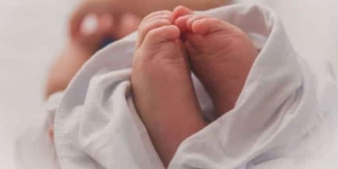 മലപ്പുറത്ത് പതിനേഴുകാരി പീഡനത്തിനിരയായി പ്രസവിച്ച സംഭവം ; അന്വേഷണം കൂടുതൽ പേരിലേക്ക് മലപ്പുറത്ത് പതിനേഴുകാരി പീഡനത്തിനിരയായി പ്രസവിച്ച സംഭവം ; അന്വേഷണം കൂടുതൽ പേരിലേക്ക്