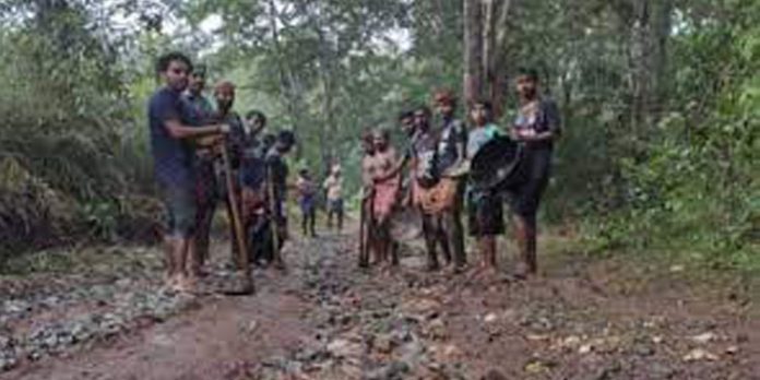 കോട്ടൂർ ആദിവാസി മേഖലയിലേക്കുള്ള റോഡ് തകർന്നു – യാത്രാ ദുരിതം കോട്ടൂർ ആദിവാസി മേഖലയിലേക്കുള്ള റോഡ് തകർന്നു – യാത്രാ ദുരിതം