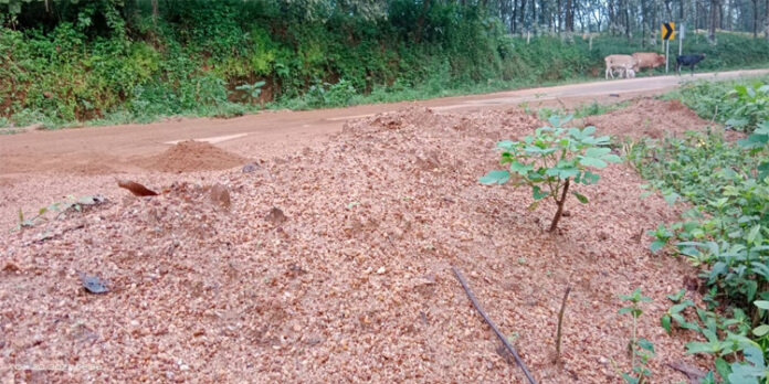 മഴവെള്ളപാച്ചിലിൽ ഒലിച്ചിറങ്ങിയ മണൽ അപകട ഭീഷണി ഉയർത്തുന്നു മഴവെള്ളപാച്ചിലിൽ ഒലിച്ചിറങ്ങിയ മണൽ അപകട ഭീഷണി ഉയർത്തുന്നു