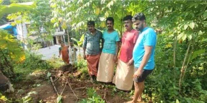 കുമ്പഴയില് പന്നികളുടെ ശല്യം ; യുവാക്കള് നട്ടുവളര്ത്തിയ കൃഷികള് പന്നികള് കൂട്ടമായെത്തിനശിപ്പിച്ചു കുമ്പഴയില് പന്നികളുടെ ശല്യം ; യുവാക്കള് നട്ടുവളര്ത്തിയ കൃഷികള് പന്നികള് കൂട്ടമായെത്തിനശിപ്പിച്ചു