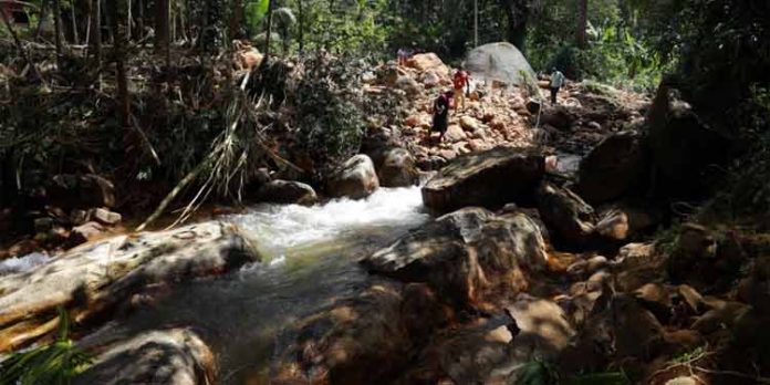 കുരുമ്പന്മൂഴിയില് പാലങ്ങള് പുനസ്ഥാപിക്കാനുള്ള നടപടി സ്വീകരിക്കും : മന്ത്രി വീണാ ജോര്ജ് കുരുമ്പന്മൂഴിയില് പാലങ്ങള് പുനസ്ഥാപിക്കാനുള്ള നടപടി സ്വീകരിക്കും : മന്ത്രി വീണാ ജോര്ജ്