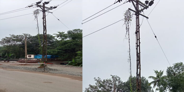 ഇഴഞ്ഞു നീങ്ങി സംസ്ഥാന പാത നിർമ്മാണം ഇഴഞ്ഞു നീങ്ങി സംസ്ഥാന പാത നിർമ്മാണം