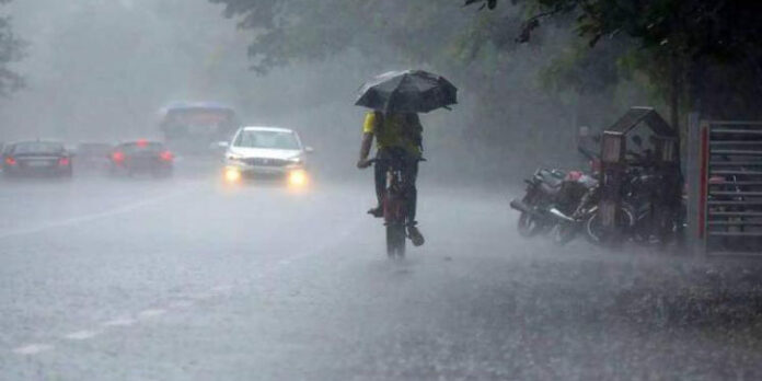 തെക്കൻ കേരളത്തിൽ ഇന്നും നാളെയും ഒറ്റപ്പെട്ട ശക്തമായ മഴയ്ക്ക് സാധ്യത തെക്കൻ കേരളത്തിൽ ഇന്നും നാളെയും ഒറ്റപ്പെട്ട ശക്തമായ മഴയ്ക്ക് സാധ്യത