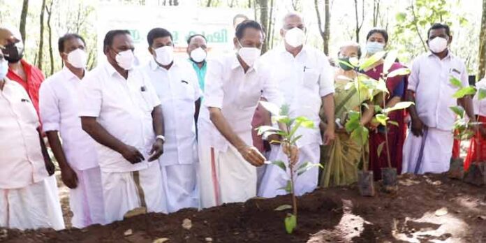 വെച്ചൂച്ചിറ പഞ്ചായത്തില് ഇടവിള കൃഷി പദ്ധതിക്ക് തുടക്കമായി വെച്ചൂച്ചിറ പഞ്ചായത്തില് ഇടവിള കൃഷി പദ്ധതിക്ക് തുടക്കമായി