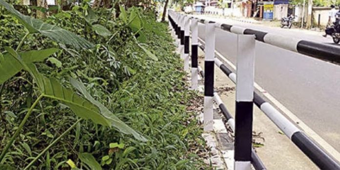 ലക്ഷങ്ങൾ മുടക്കി നിർമിച്ച നടപ്പാത കാടുകയറി ലക്ഷങ്ങൾ മുടക്കി നിർമിച്ച നടപ്പാത കാടുകയറി