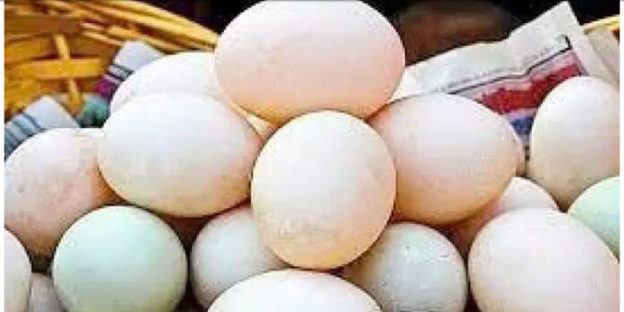 കൃത്രിമ മുട്ട കയറ്റിവന്ന വാഹനങ്ങള് നാട്ടുകാര് തടഞ്ഞു കൃത്രിമ മുട്ട കയറ്റിവന്ന വാഹനങ്ങള് നാട്ടുകാര് തടഞ്ഞു