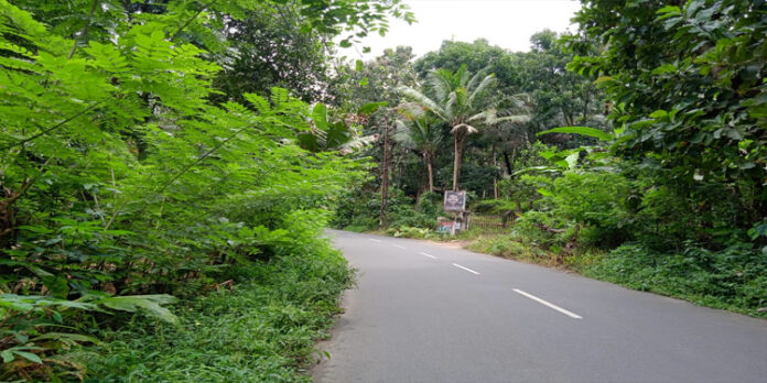 മണ്ഡലകാല തീര്ത്ഥാടനം തുടങ്ങാന് നാളുകള് മാത്രം ; കാടുമൂടി ശബരിമല അനുബന്ധ പാതകള് മണ്ഡലകാല തീര്ത്ഥാടനം തുടങ്ങാന് നാളുകള് മാത്രം ; കാടുമൂടി ശബരിമല അനുബന്ധ പാതകള്