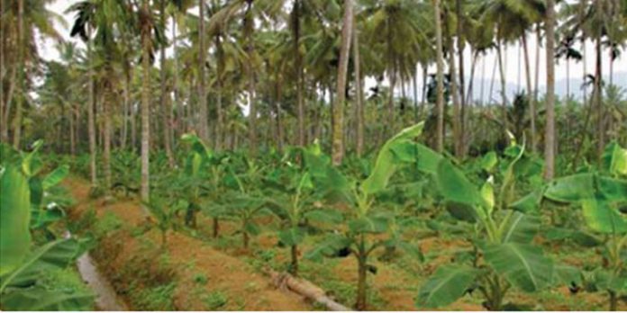 കൃഷി വിജ്ഞാന കേന്ദ്രത്തിലെ പദ്ധതികള് ഉദ്ഘാടനം ചെയ്തു കൃഷി വിജ്ഞാന കേന്ദ്രത്തിലെ പദ്ധതികള് ഉദ്ഘാടനം ചെയ്തു