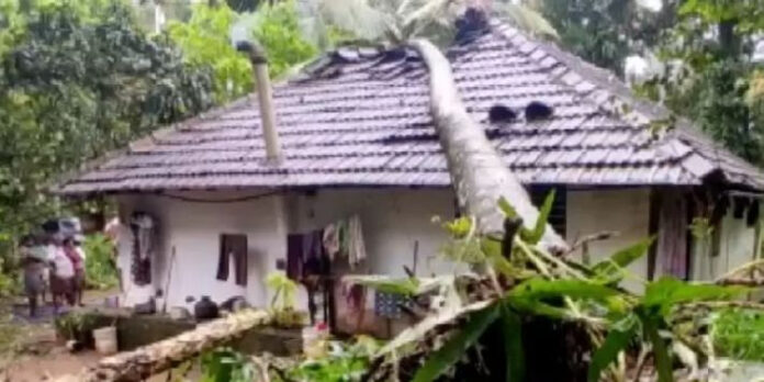 വീടിന് മുകളില് തെങ്ങ് കടപുഴകി വീണ് വീട്ടമ്മയ്ക്ക് പരുക്ക് വീടിന് മുകളില് തെങ്ങ് കടപുഴകി വീണ് വീട്ടമ്മയ്ക്ക് പരുക്ക്