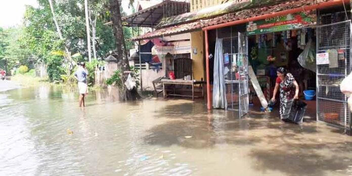 അപ്പർ കുട്ടനാടൻ മേഖലയില് വീടുകളും സ്ഥാപനങ്ങളും ശുചീകരിക്കുന്ന ജോലികൾനടന്നുവരുന്നു അപ്പർ കുട്ടനാടൻ മേഖലയില് വീടുകളും സ്ഥാപനങ്ങളും ശുചീകരിക്കുന്ന ജോലികൾനടന്നുവരുന്നു
