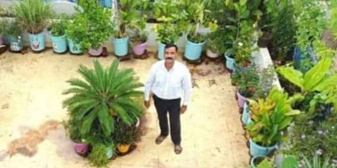 41കാരന്റെ ടെറസിലുള്ളത് 200 തരം പച്ചക്കറികള് : പഴങ്ങളും പൂക്കളും സുലഭം 41കാരന്റെ ടെറസിലുള്ളത് 200 തരം പച്ചക്കറികള് : പഴങ്ങളും പൂക്കളും സുലഭം