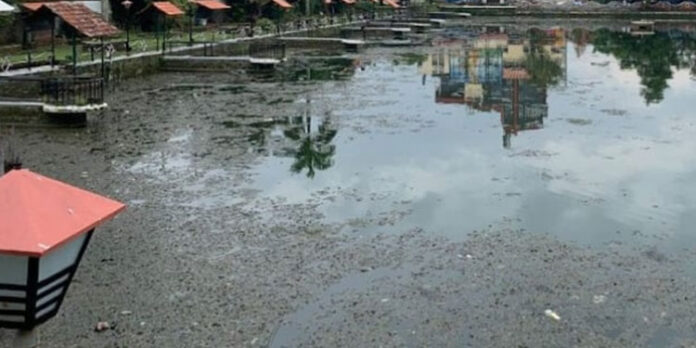 തൃശൂർ വടക്കേച്ചിറ പുനരുദ്ധാരണം പൂത്തിയായി ; ഉദ്ഘാടനം ഒകടോബർ 10ന് തൃശൂർ വടക്കേച്ചിറ പുനരുദ്ധാരണം പൂത്തിയായി ; ഉദ്ഘാടനം ഒകടോബർ 10ന്
