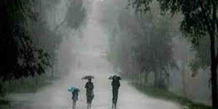 പത്തനംതിട്ടയില് മേഘവിസ്ഫോടനതിനു സമാനമായ രീതിയില് തീവ്ര മഴ പെയ്തു ; അതീവ ജാഗ്രത പത്തനംതിട്ടയില് മേഘവിസ്ഫോടനതിനു സമാനമായ രീതിയില് തീവ്ര മഴ പെയ്തു ; അതീവ ജാഗ്രത