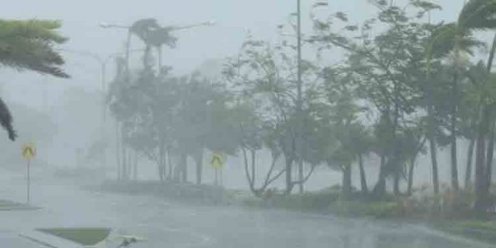 വ്യാഴാഴ്ച വരെ കനത്ത മഴ ; ഇന്ന് 12 ജില്ലകളില് യെല്ലോ അലര്ട്ട് വ്യാഴാഴ്ച വരെ കനത്ത മഴ ; ഇന്ന് 12 ജില്ലകളില് യെല്ലോ അലര്ട്ട്