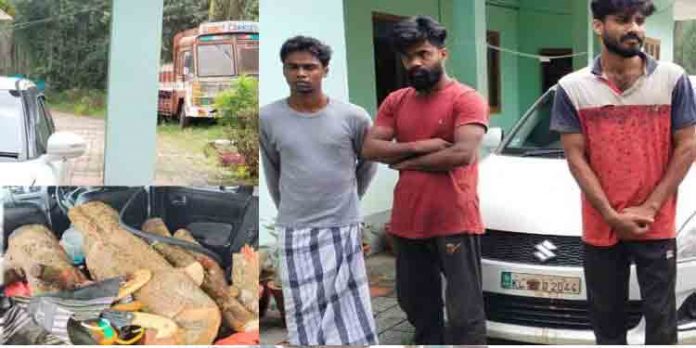 വയനാട്ടില് 400 കിലോ ചന്ദനവുമായി മൂന്ന് പേര് പിടിയില് വയനാട്ടില് 400 കിലോ ചന്ദനവുമായി മൂന്ന് പേര് പിടിയില്