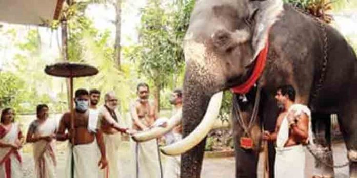 ആചാരങ്ങളും പാരമ്പര്യങ്ങളും വിശ്വാസങ്ങളും കാത്തു സൂക്ഷിച്ച് വൈക്കത്തഷ്ടമിയുടെ കൊടിയേറ്ററിയിപ്പ് ആചാരങ്ങളും പാരമ്പര്യങ്ങളും വിശ്വാസങ്ങളും കാത്തു സൂക്ഷിച്ച് വൈക്കത്തഷ്ടമിയുടെ കൊടിയേറ്ററിയിപ്പ്