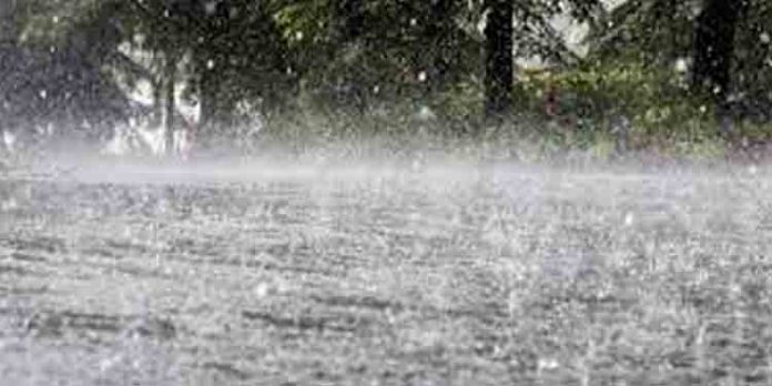 ശക്തമായ മഴയ്ക്ക് സാധ്യത ; ഒന്പത് ജില്ലകളില് യെല്ലോ അലര്ട്ട് ശക്തമായ മഴയ്ക്ക് സാധ്യത ; ഒന്പത് ജില്ലകളില് യെല്ലോ അലര്ട്ട്