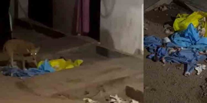 മലപ്പുറത്ത് പോസ്റ്റുമോര്ട്ടം ചെയ്ത മൃതദേഹത്തിന്റെ അവശിഷ്ടങ്ങൾ തെരുവുനായ കടിച്ചെന്ന് പരാതി മലപ്പുറത്ത് പോസ്റ്റുമോര്ട്ടം ചെയ്ത മൃതദേഹത്തിന്റെ അവശിഷ്ടങ്ങൾ തെരുവുനായ കടിച്ചെന്ന് പരാതി