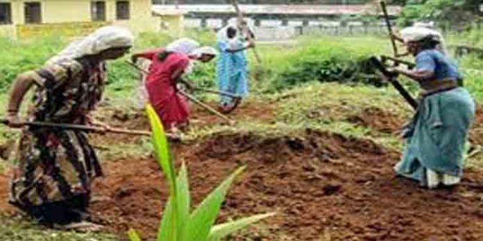 ഇ – ശ്രം രജിസ്ട്രേഷൻ ; തൊഴിലുറപ്പ് അംഗങ്ങൾക്കും അവസരം ഇ – ശ്രം രജിസ്ട്രേഷൻ ; തൊഴിലുറപ്പ് അംഗങ്ങൾക്കും അവസരം