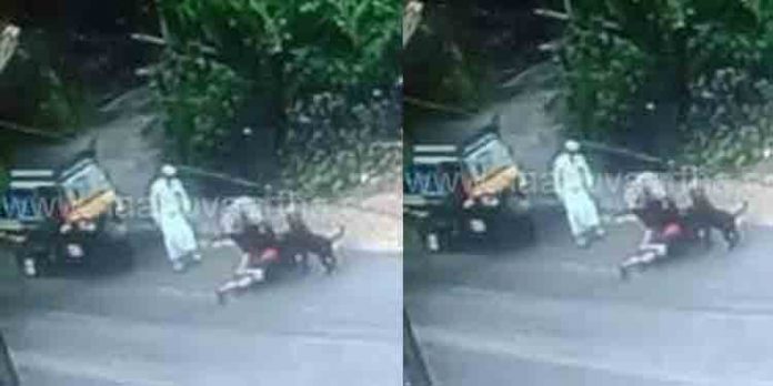 വളര്ത്തുനായയുടെ കടിയേറ്റ ഫൗസിയക്ക് 25 ലക്ഷം രൂപ നഷ്ടപരിഹാരം നല്കണo : എസ്ഡിപിഐ വളര്ത്തുനായയുടെ കടിയേറ്റ ഫൗസിയക്ക് 25 ലക്ഷം രൂപ നഷ്ടപരിഹാരം നല്കണo : എസ്ഡിപിഐ