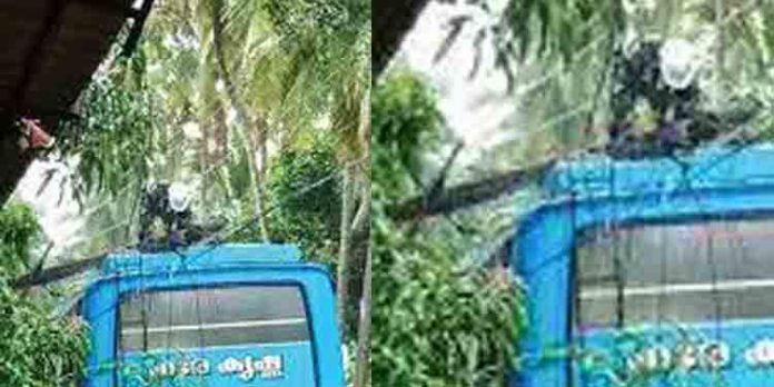 ഓടുന്ന ബസിനു മുകളിലേക്ക് വൈദ്യുതി പോസ്റ്റ് ഒടിഞ്ഞുവീണു ; വന് അപകടം ഒഴിവായി ഓടുന്ന ബസിനു മുകളിലേക്ക് വൈദ്യുതി പോസ്റ്റ് ഒടിഞ്ഞുവീണു ; വന് അപകടം ഒഴിവായി